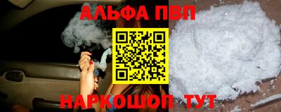 тгк Новозыбков