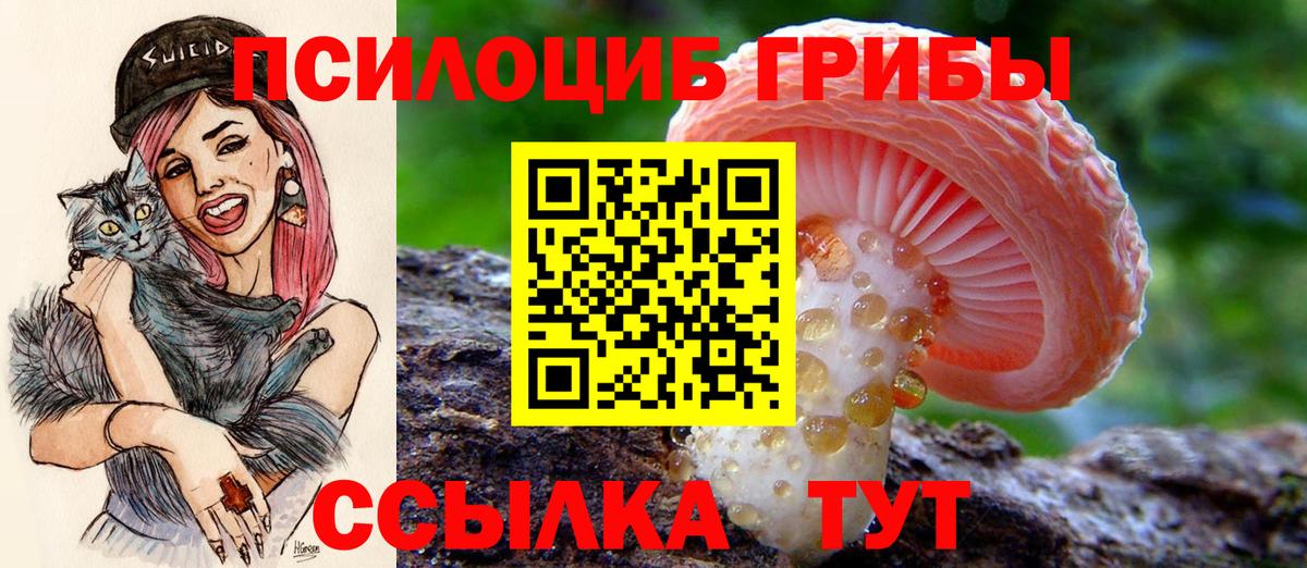 хочу наркоту  Вход с VPN  Черемхово  Псилоцибиновые грибы Cubensis  Галлюциногенные грибы Magic Shrooms 