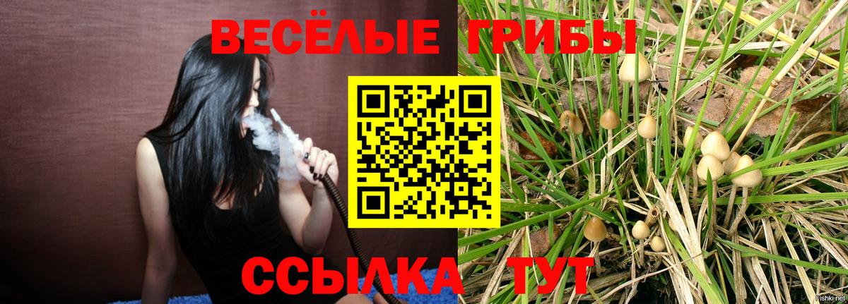 Псилоцибиновые грибы GOLDEN TEACHER Черемхово